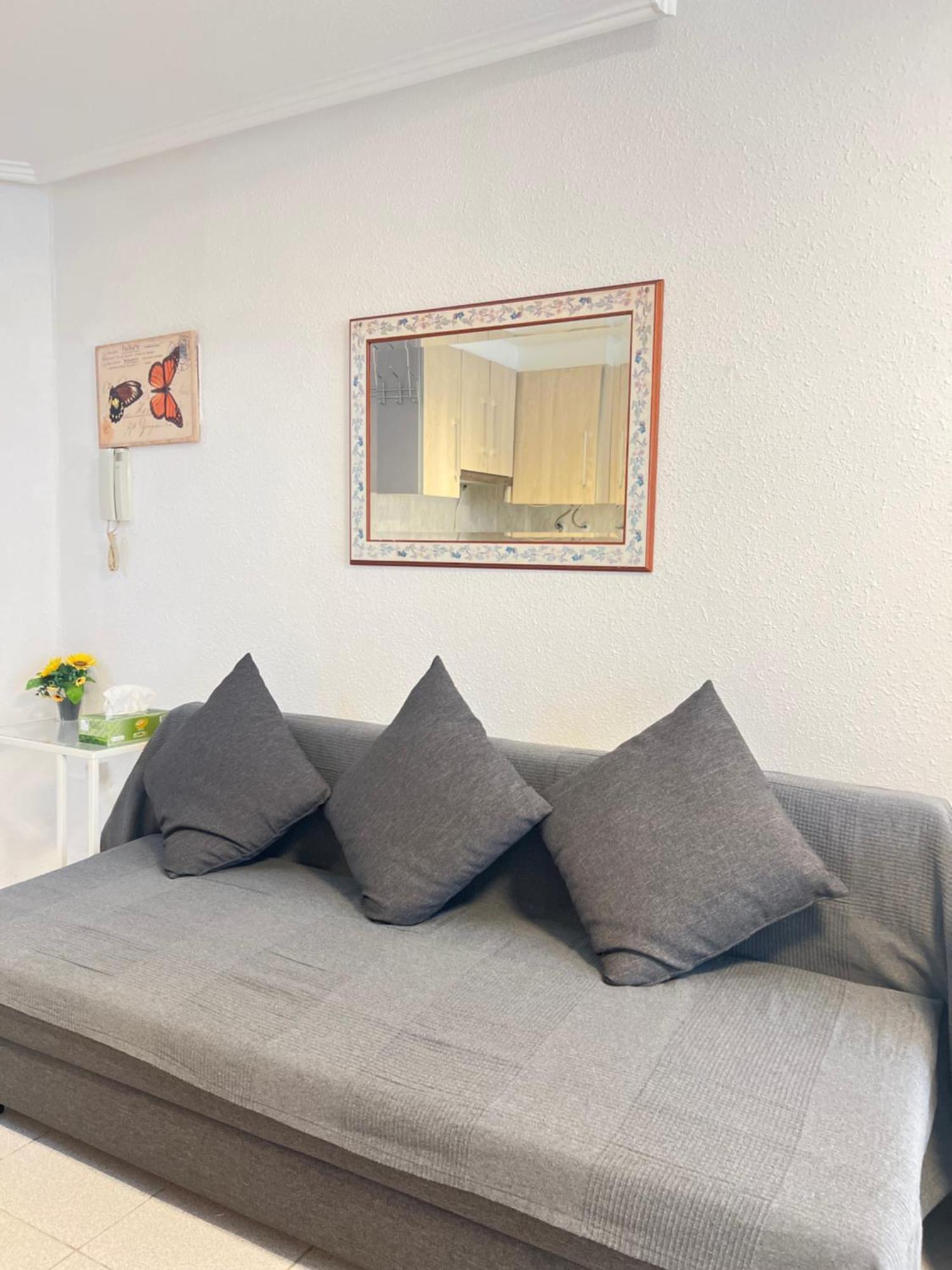 Renovated Cosy Studio 350 M Playa Del Cura, With Official Touristic License Torrevieja Dış mekan fotoğraf